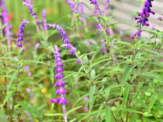 $350,000 | 1005 Coral Reef Drive, New Bern, NC 28560