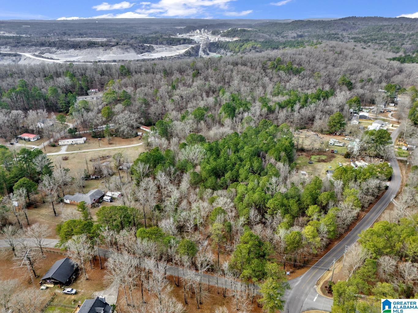 1383 Camp Branch Road, Unit 1 Alabaster, AL 35007 - Photo 13 of 20