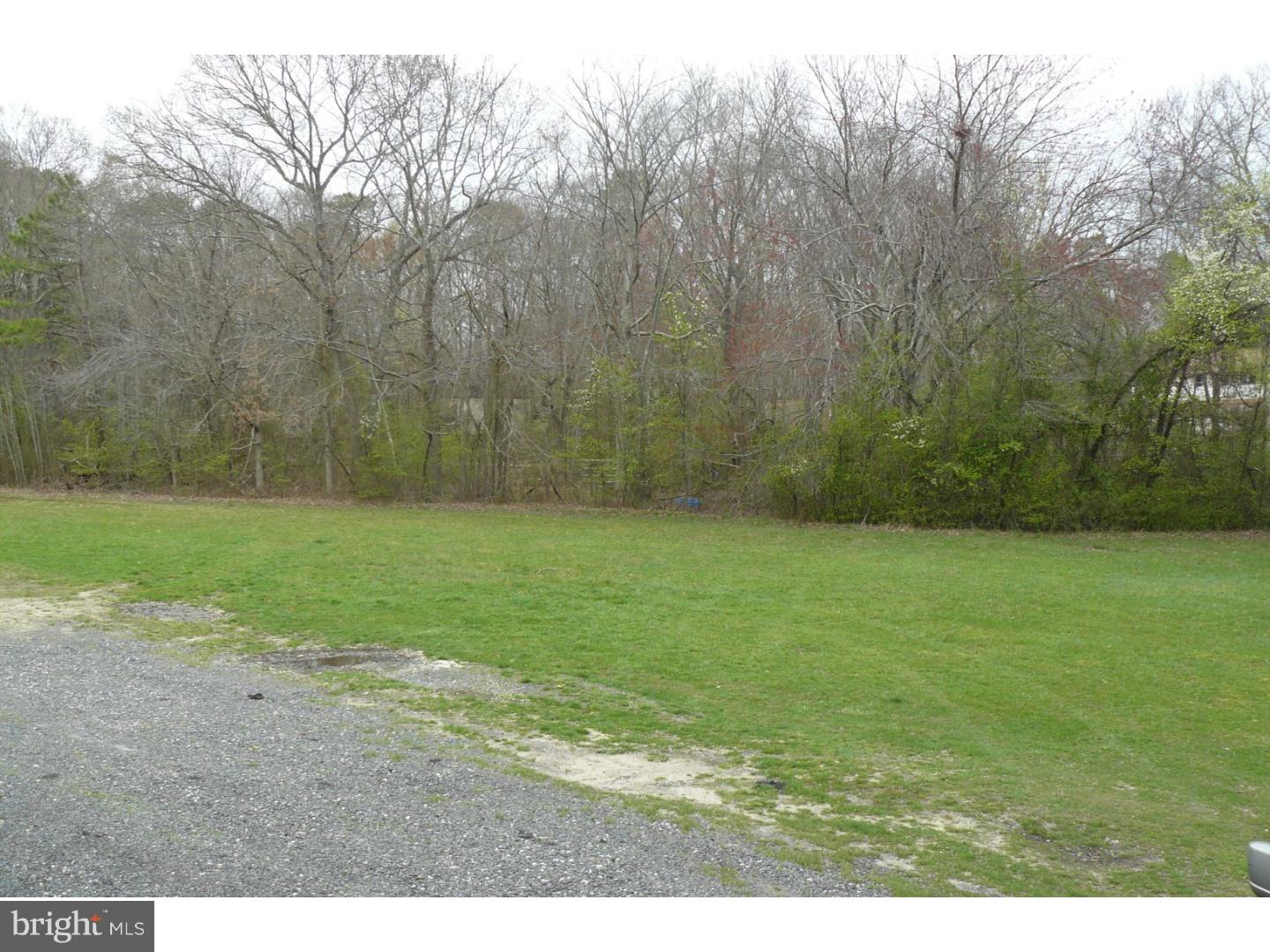 407 Stokes Road Shamong, NJ 08088 - Photo 17 of 20 View from Front Door