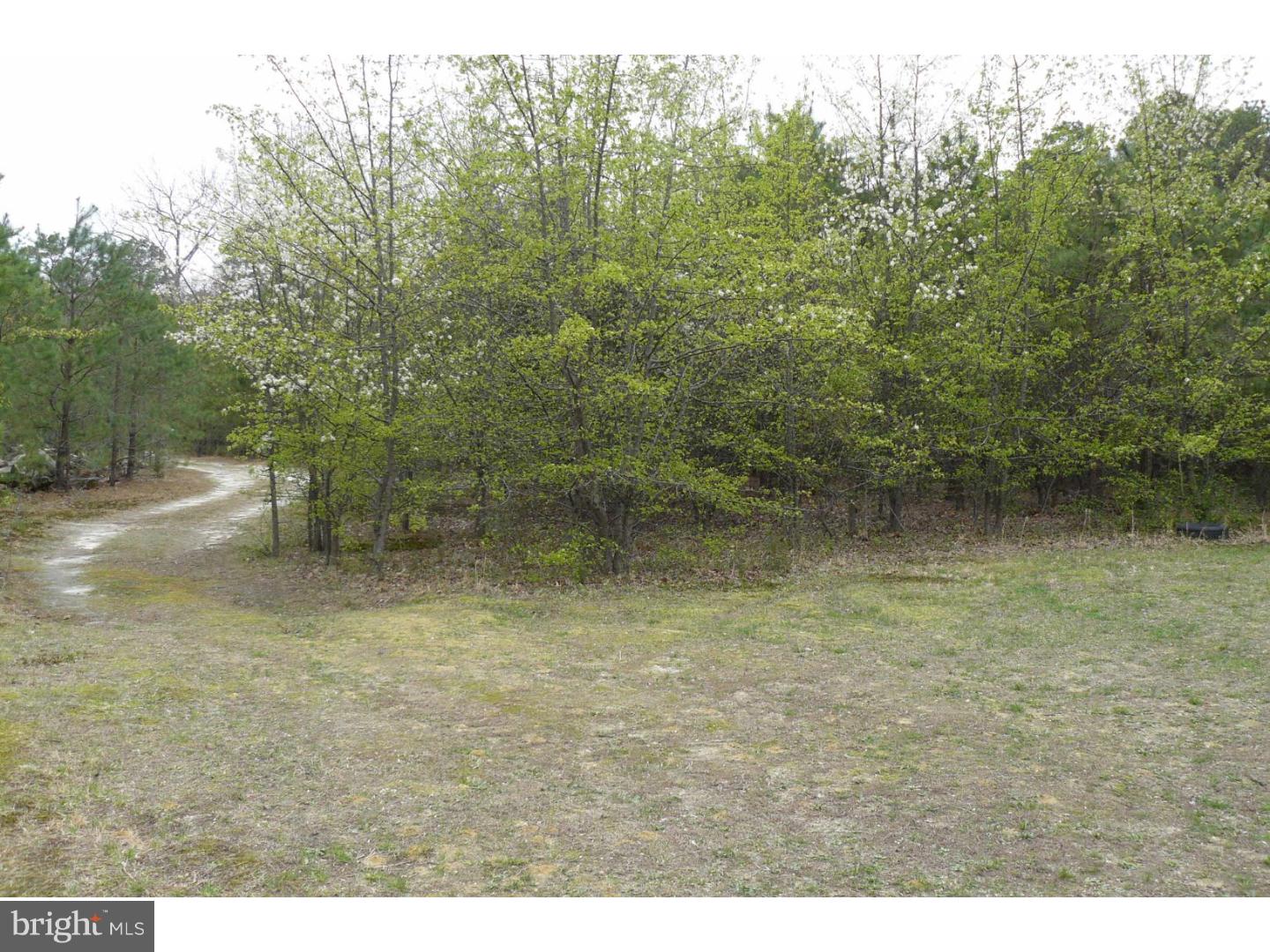 407 Stokes Road Shamong, NJ 08088 - Photo 19 of 20 View