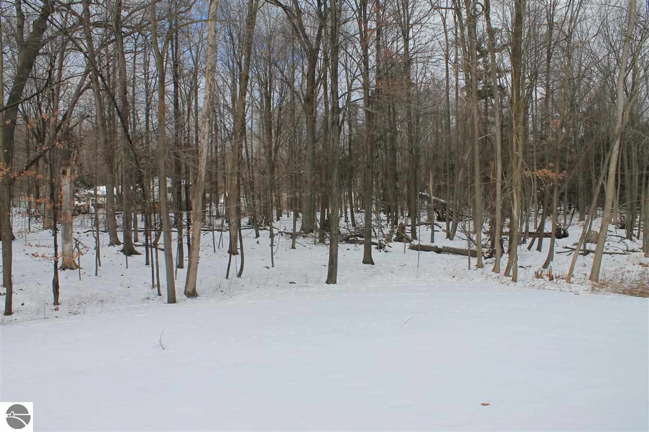 4768 South Meridian Road Mount Pleasant, MI 48858 - Photo 51 of 53 1794566-50.JPG