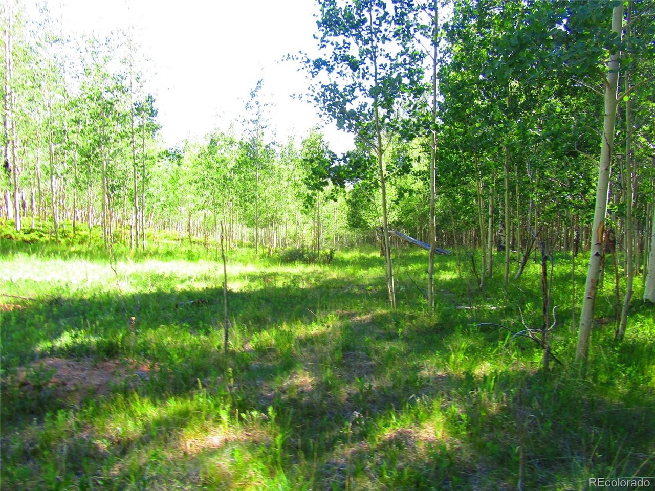6427 Laffin Road San Luis, CO 81152 - Photo 42 of 42 a view of yard with green space