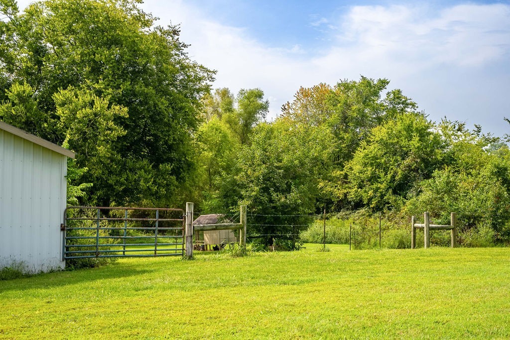 181 Dry Fork Road South Bethpage, TN 37022 - Photo 47 of 52 a view of a yard with a trees