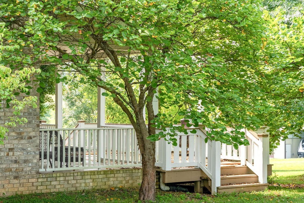 181 Dry Fork Road South Bethpage, TN 37022 - Photo 7 of 52 a view of a house with a tree in the yard