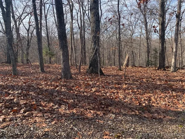 $7,000 | Lot 552 Newton Ter Lake, Lake Ozark, MO 65049