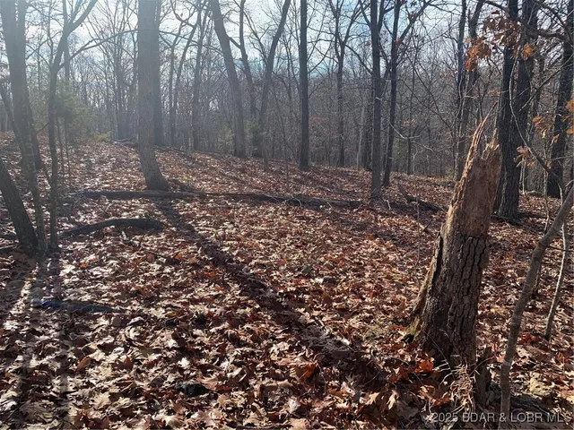 $7,000 | Lot 552 Newton Ter Lake, Lake Ozark, MO 65049