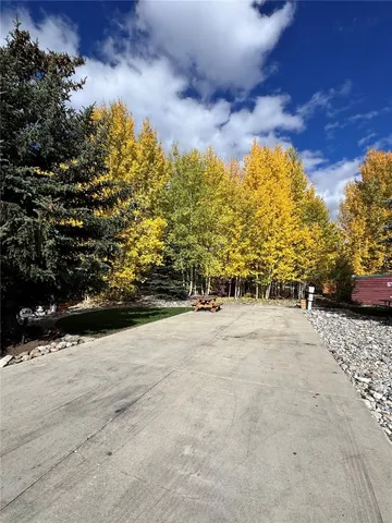 a view of a park that has a tree on the side of it