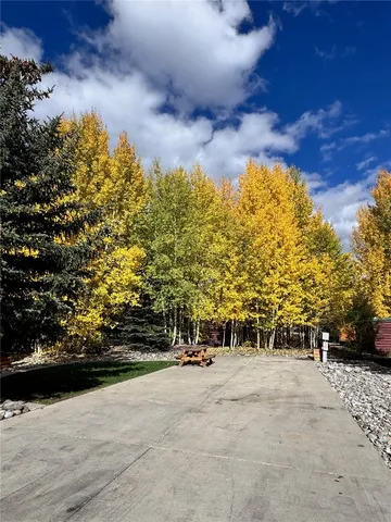a view of a park with large trees