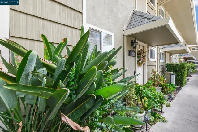 $560,000 | 394 Ilo Lane, Unit 303, Danville, CA 94526