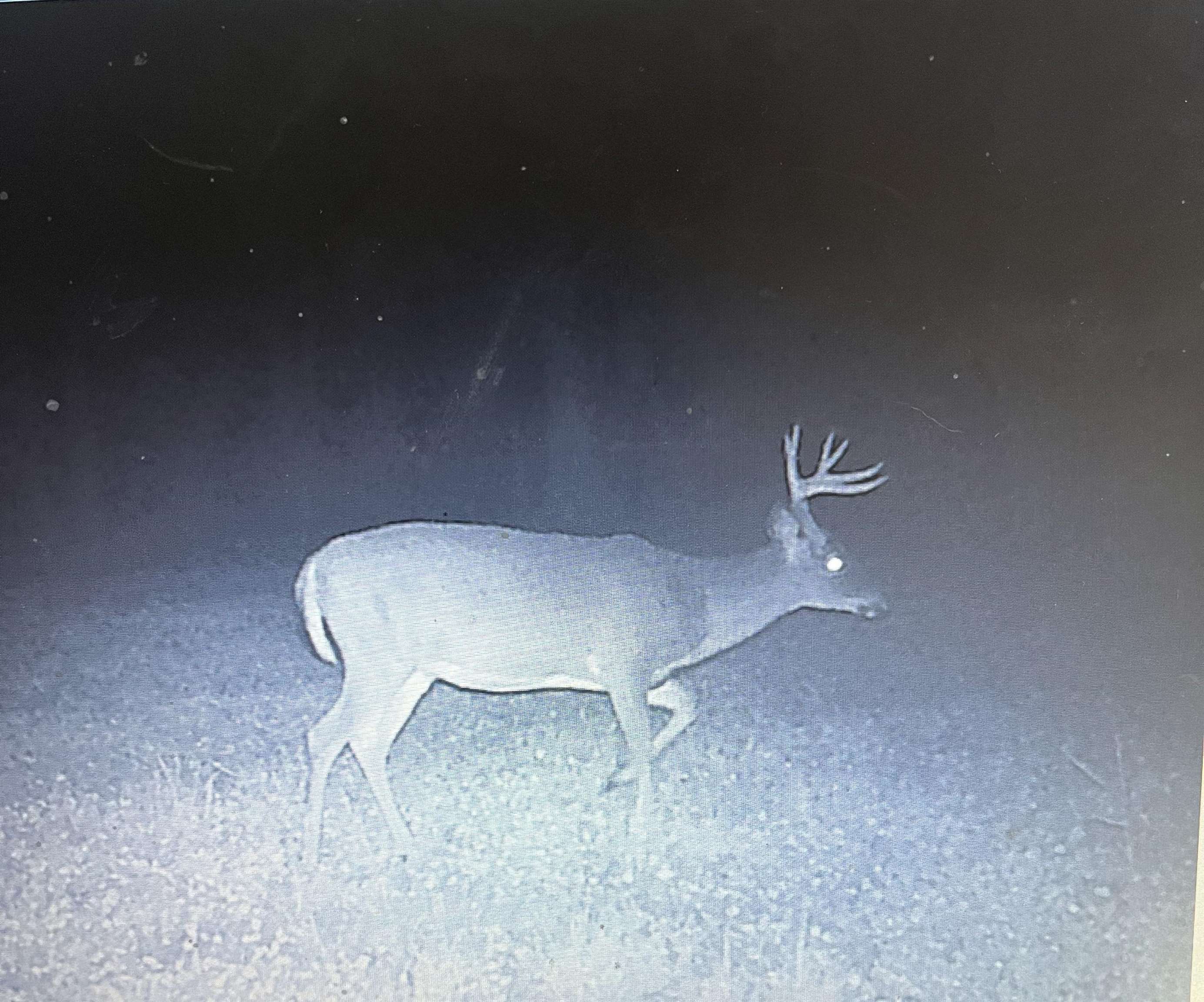 849 Mt Bess Road Charleston, VT 05872 - Photo 28 of 39