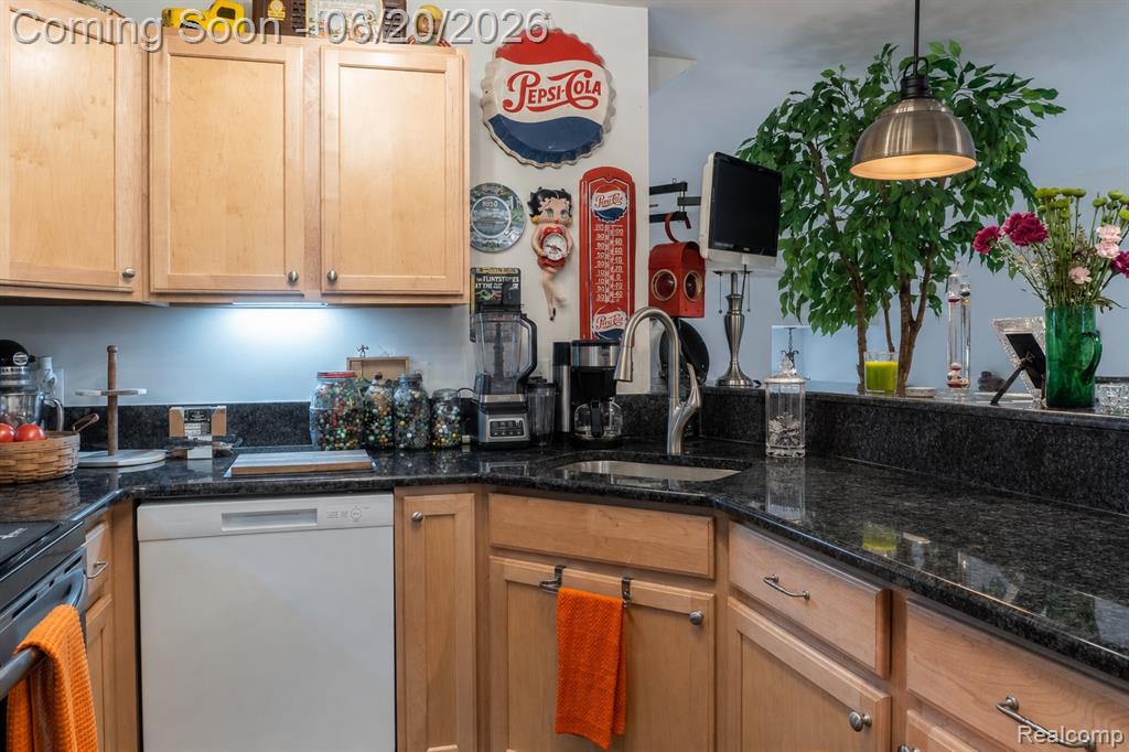 50119 Harding Street Canton, MI 48188 - Photo 15 of 24