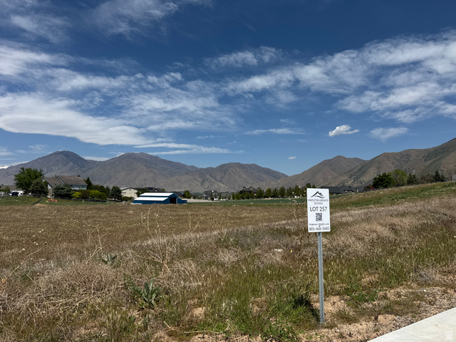 Expansive land parcel with mountain backdrop