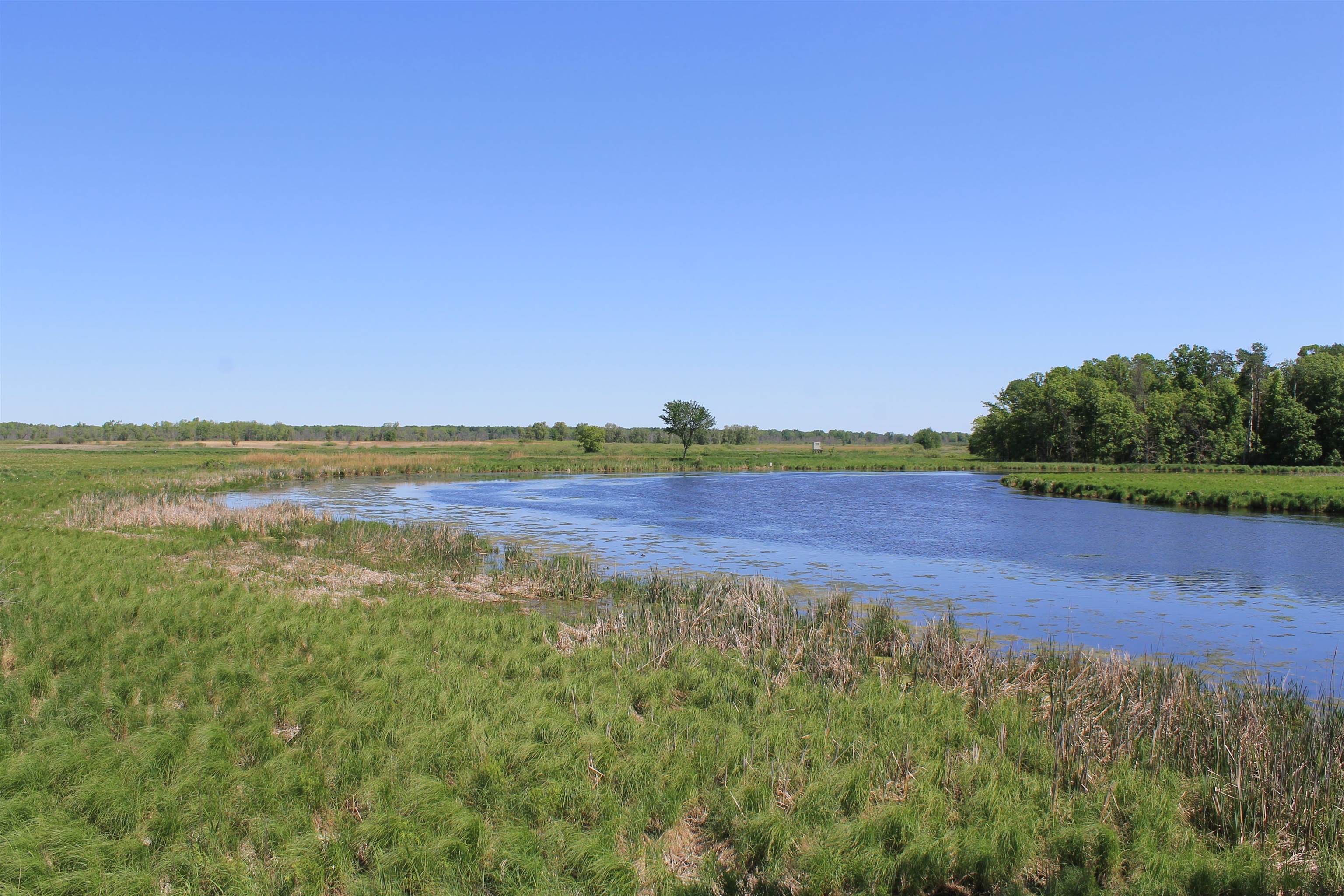 W1122 County Rd D Berlin, WI 54923 - Photo 42 of 69