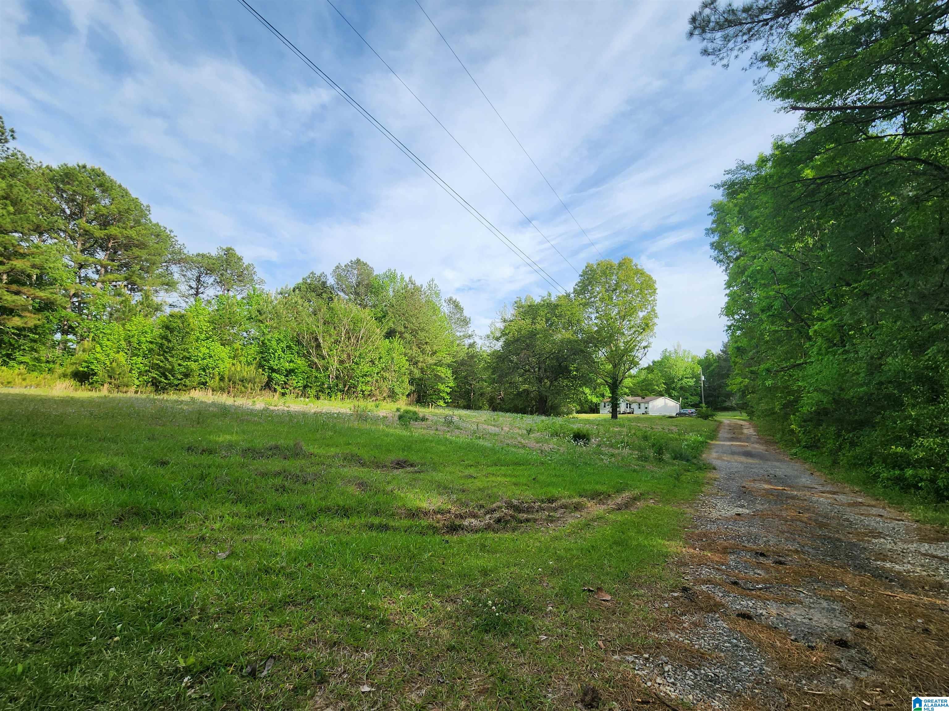 2213 Morris Majestic Road, Unit 9 Morris, AL 35116 - Photo 3 of 13