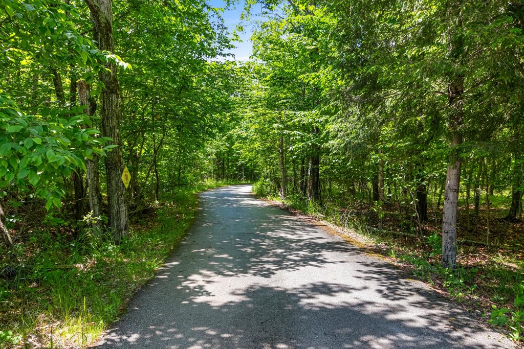 12376 Timberline Road Ellison Bay, WI 54210 - Photo 77 of 82
