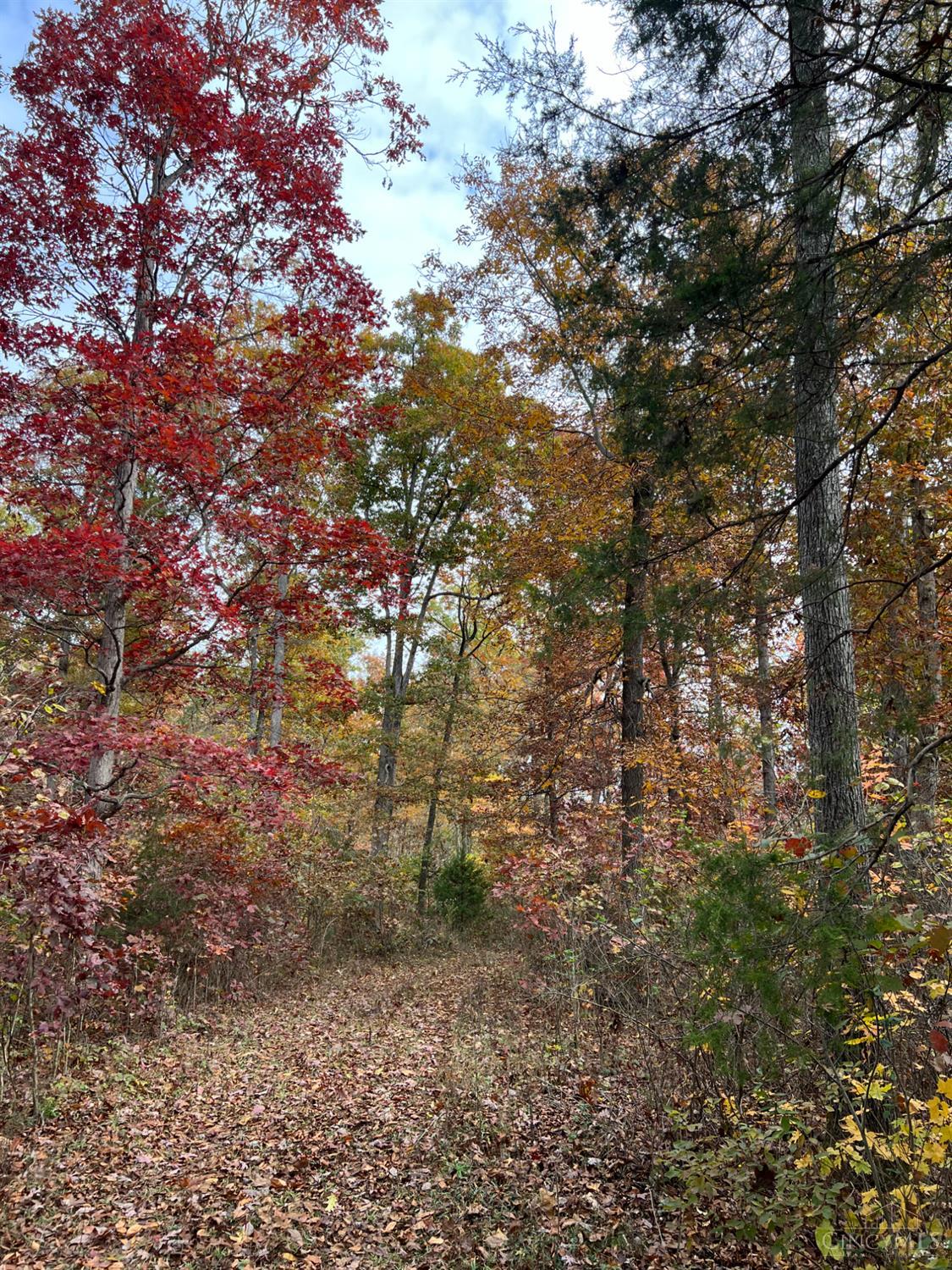 0 Harriet Road Hillsboro, OH 45133 - Photo 18 of 96