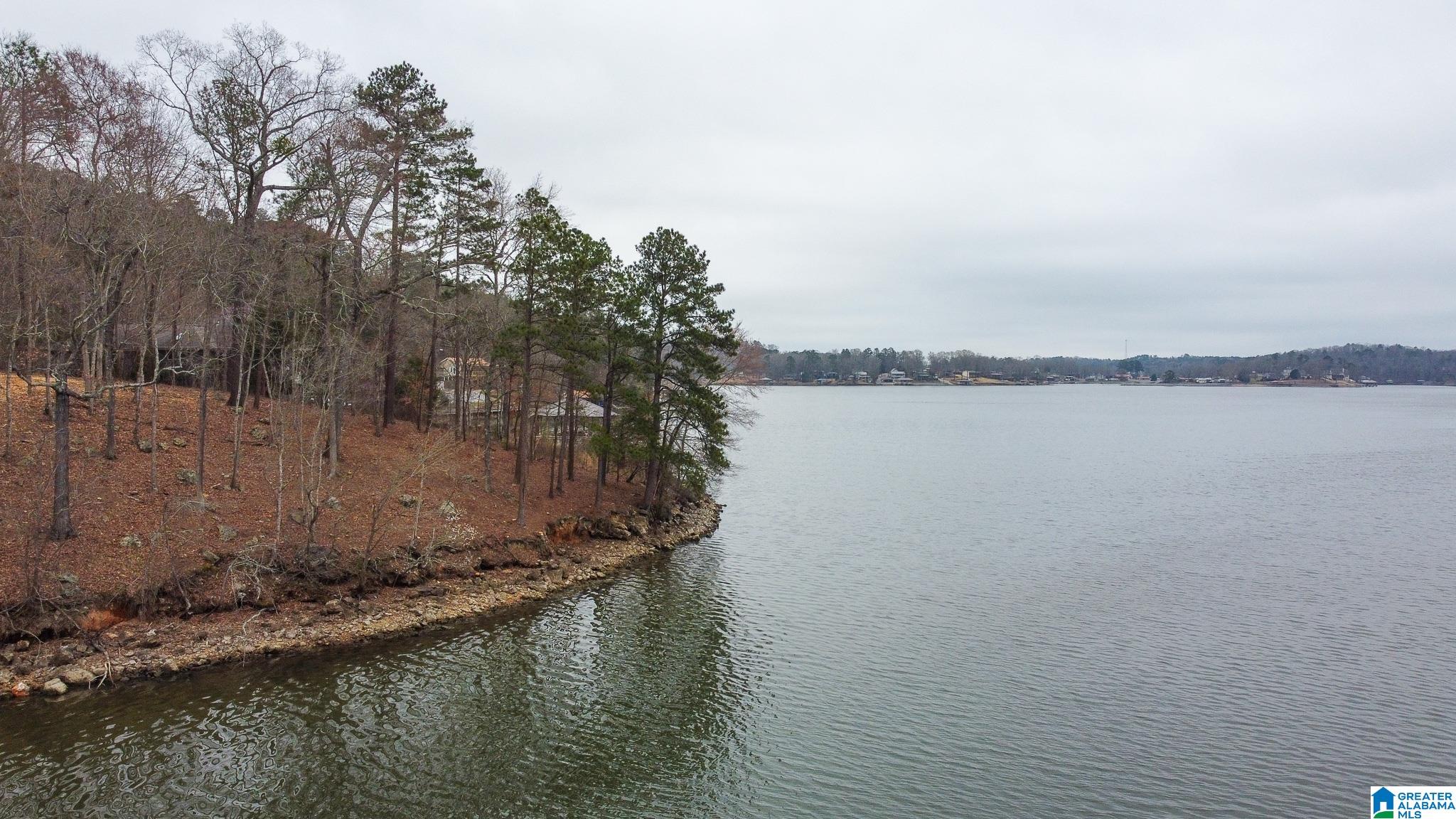 Lake Ridge Point, Unit 17 Talladega, AL 35160 - Photo 19 of 33 Gallery Image 19