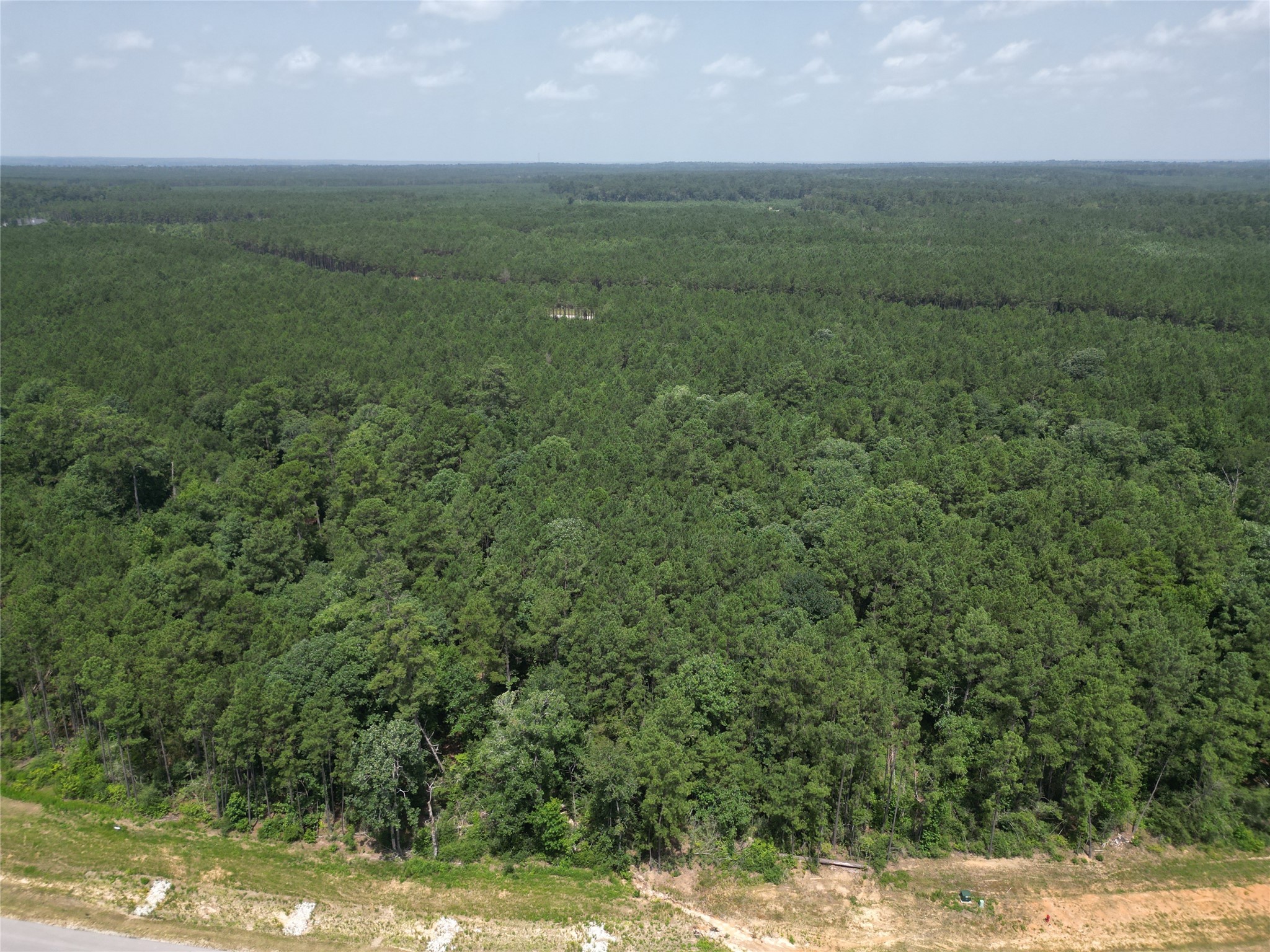 15884 Ridge Oak Road Willis, TX 77378 - Photo 13 of 24