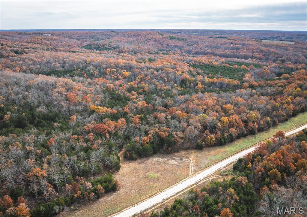 Lot #14 Private Drive Rolla, MO 65401 - Photo 2 of 2