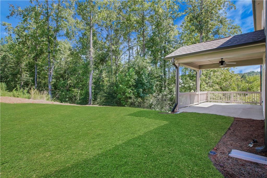 358 Conifer Lane Ball Ground, GA 30107 - Photo 43 of 44