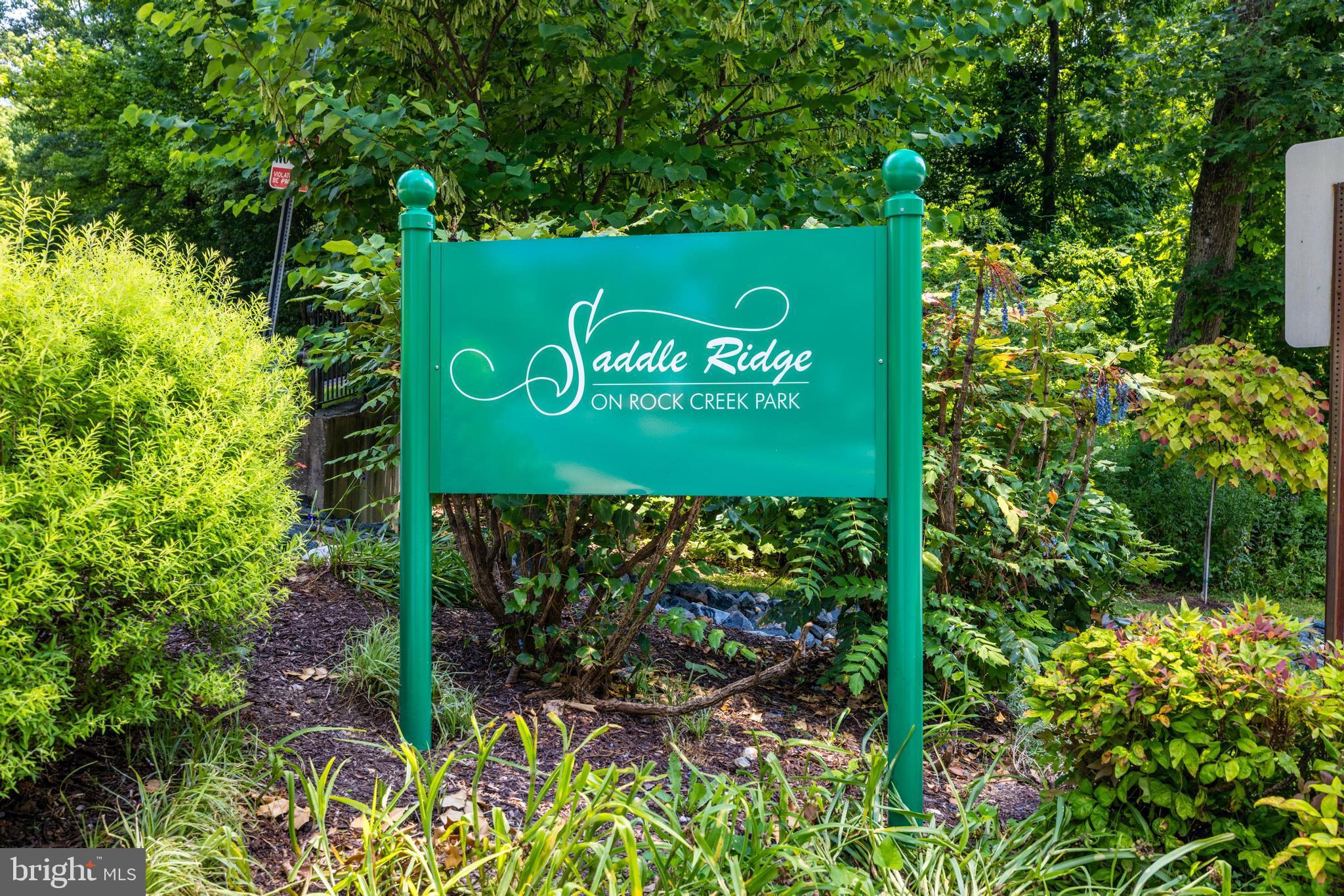 2135 Derby Ridge Lane, Unit 11 Silver Spring, MD 20910 - Photo 41 of 42