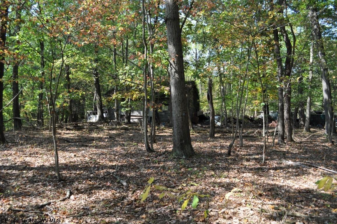 3039 Earl L Core Road Morgantown, WV 26508 - Photo 24 of 26 Gallery Image 24