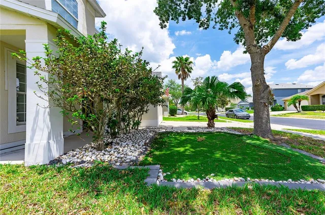 a view of a garden with a tree in the garden