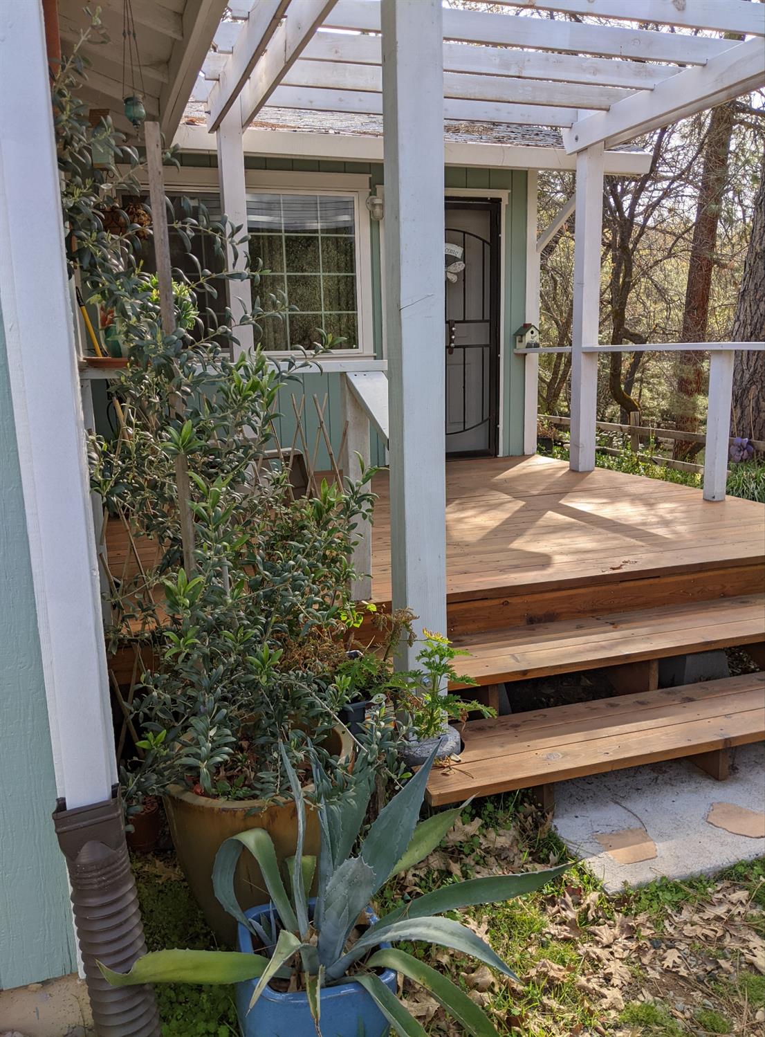 10180 Rock Creek Road Placerville, CA 95667 - Photo 4 of 51 a view of a backyard with a chair and a potted plant