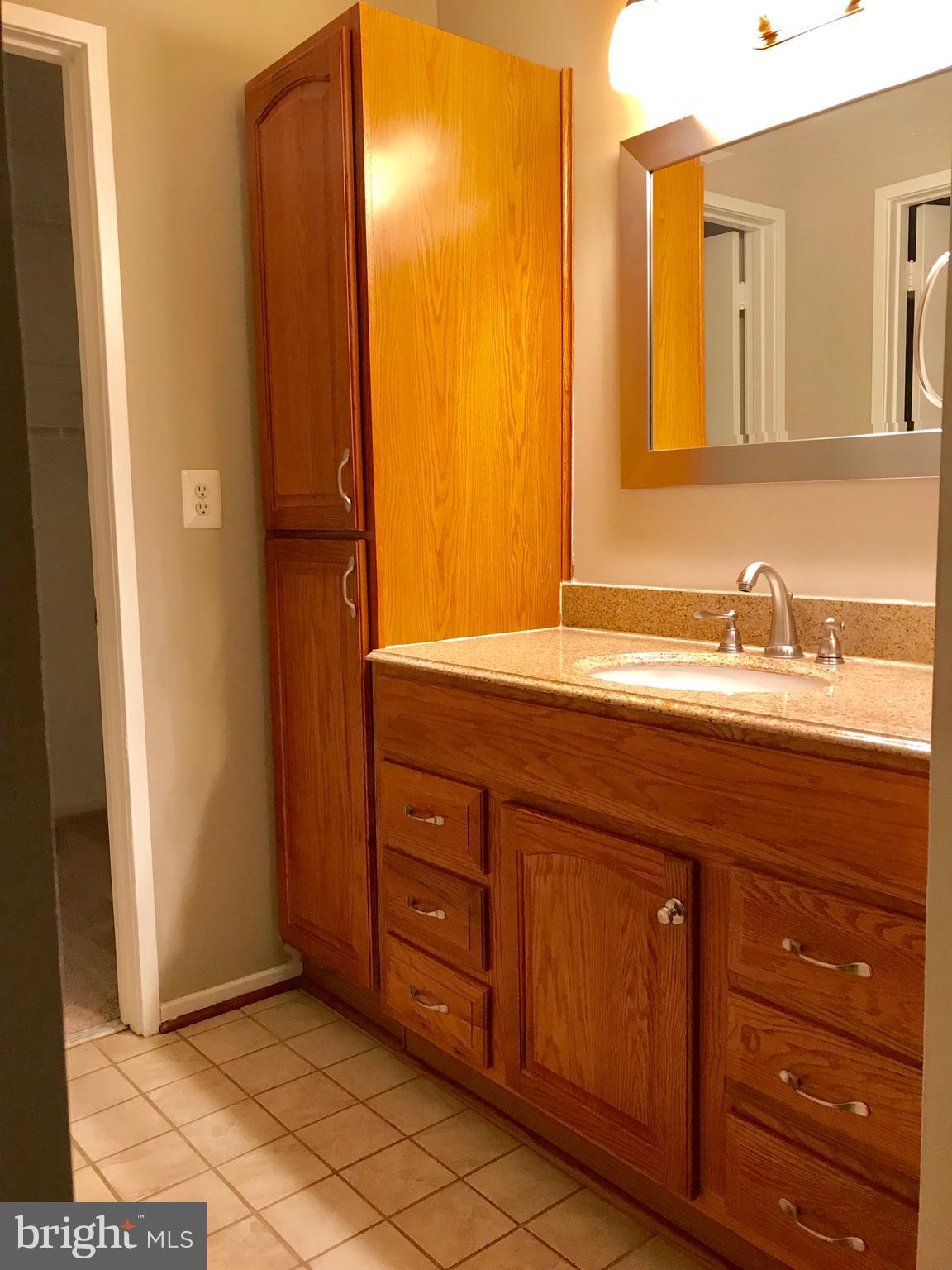 7702 Lexton Place, Unit 65 Springfield, VA 22152 - Photo 20 of 24 a bathroom with a sink and a mirror