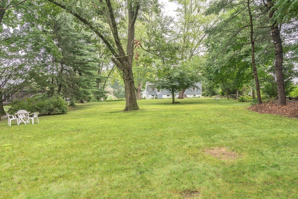 4 Wyman Road Lexington, MA 02420 - Photo 3 of 28