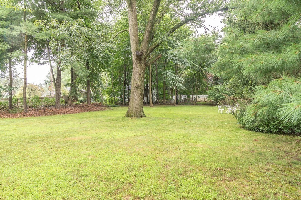 4 Wyman Road Lexington, MA 02420 - Photo 4 of 28