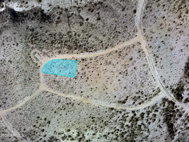 a view of a dry plant in a yard