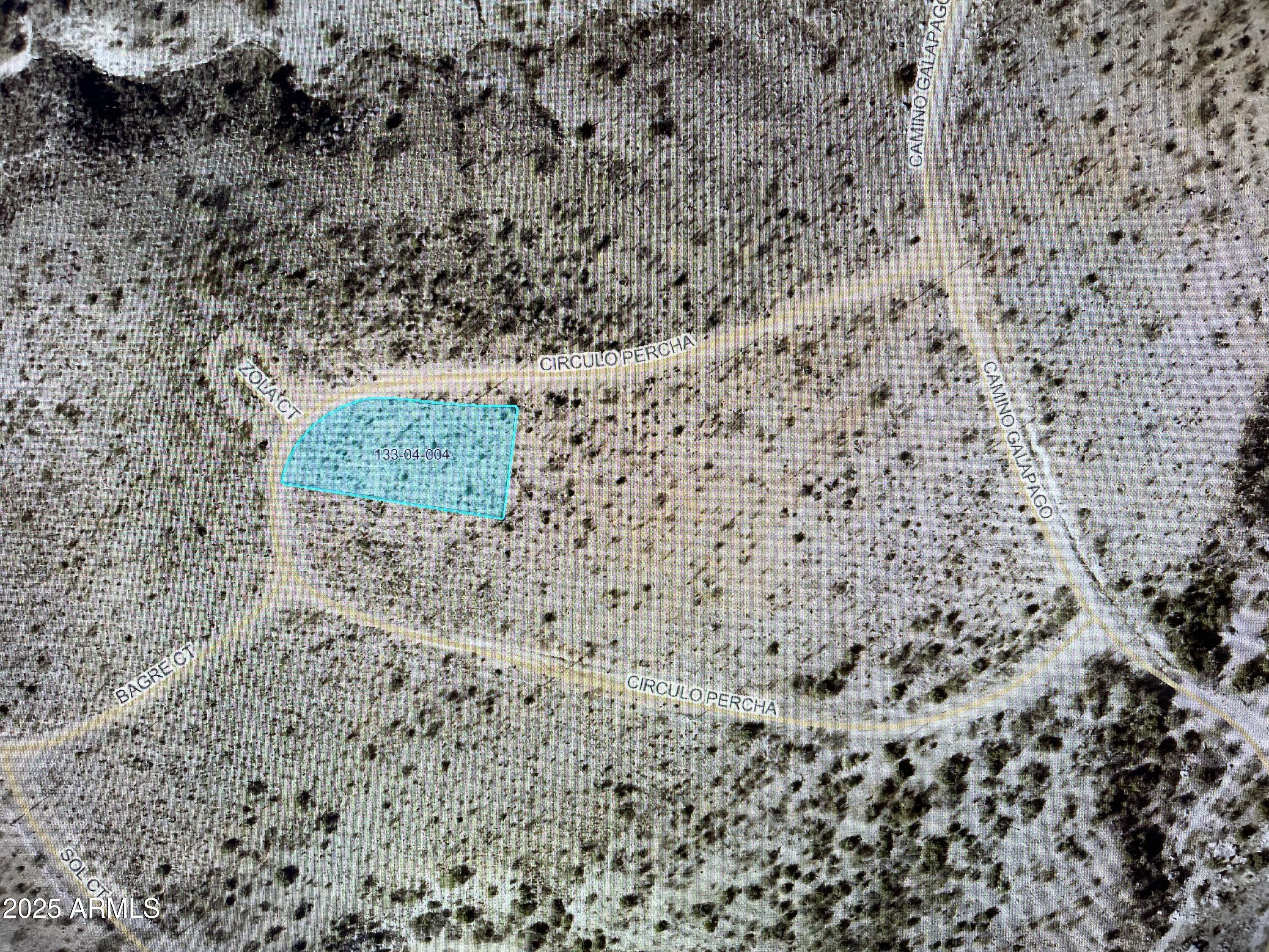 a view of a dry plant in a yard