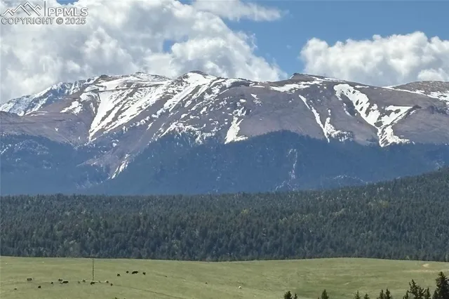 $825,000 | 407 Meadow Park Drive, Divide, CO 80814