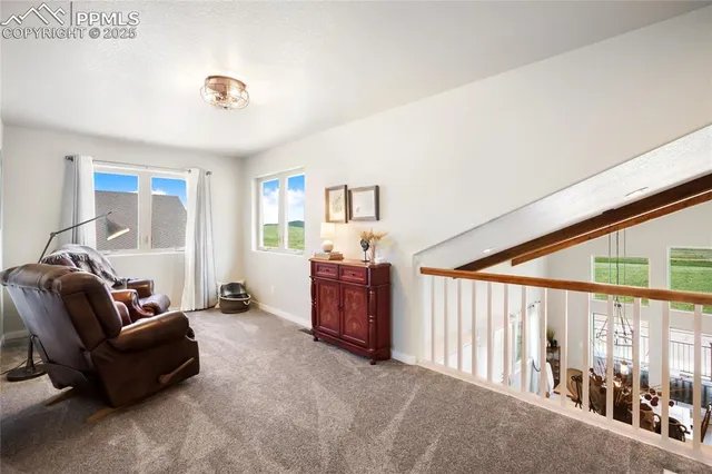 $825,000 | 407 Meadow Park Drive, Divide, CO 80814