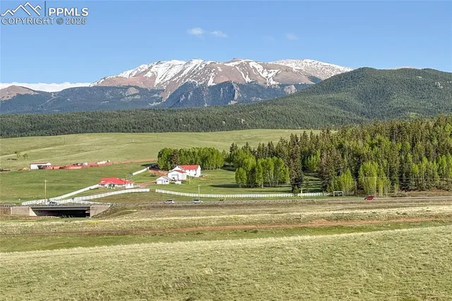 $825,000 | 407 Meadow Park Drive, Divide, CO 80814