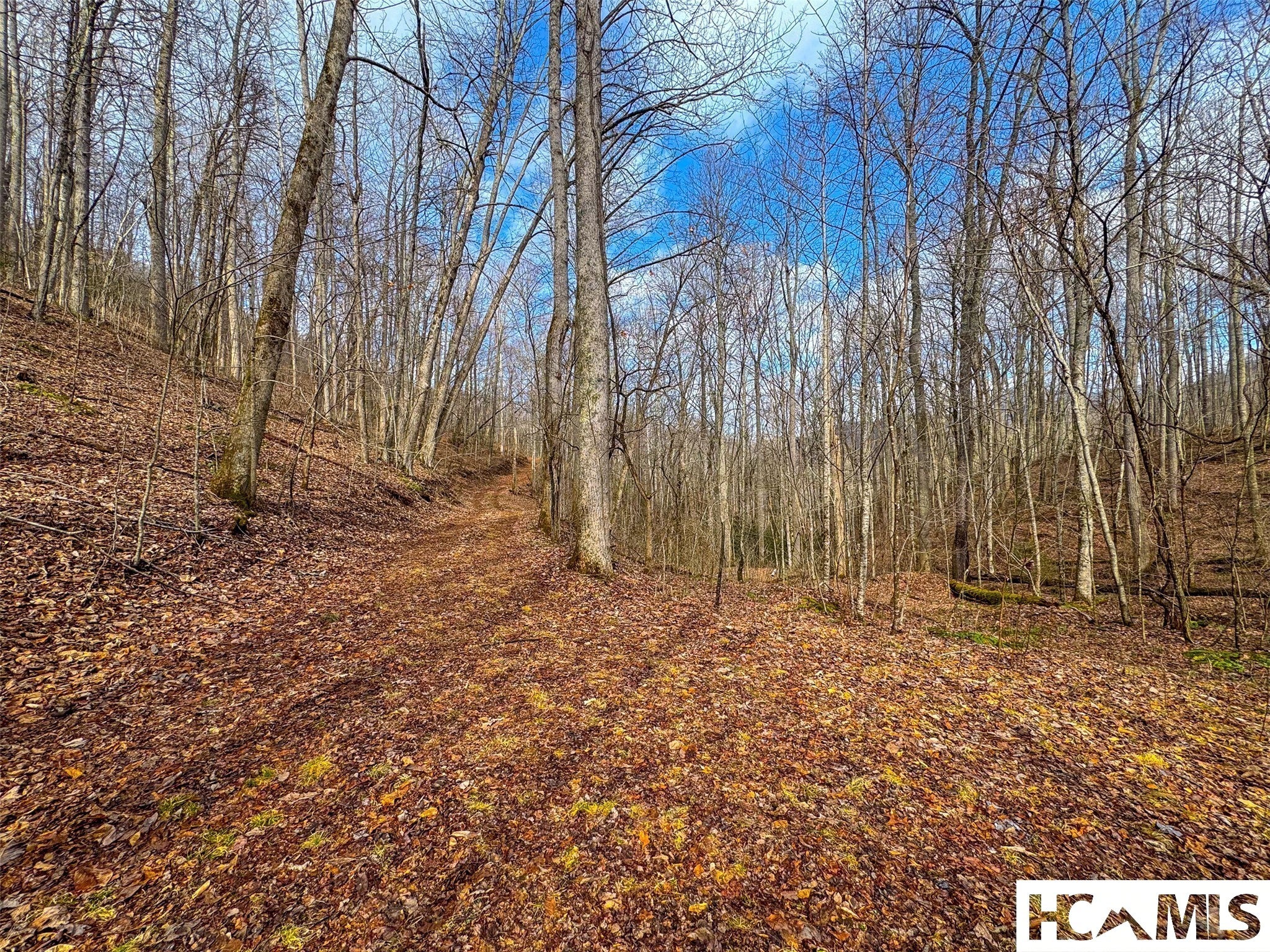 1241 Henry Road Franklin, NC 28734 - Photo 14 of 67 Gallery Image 14