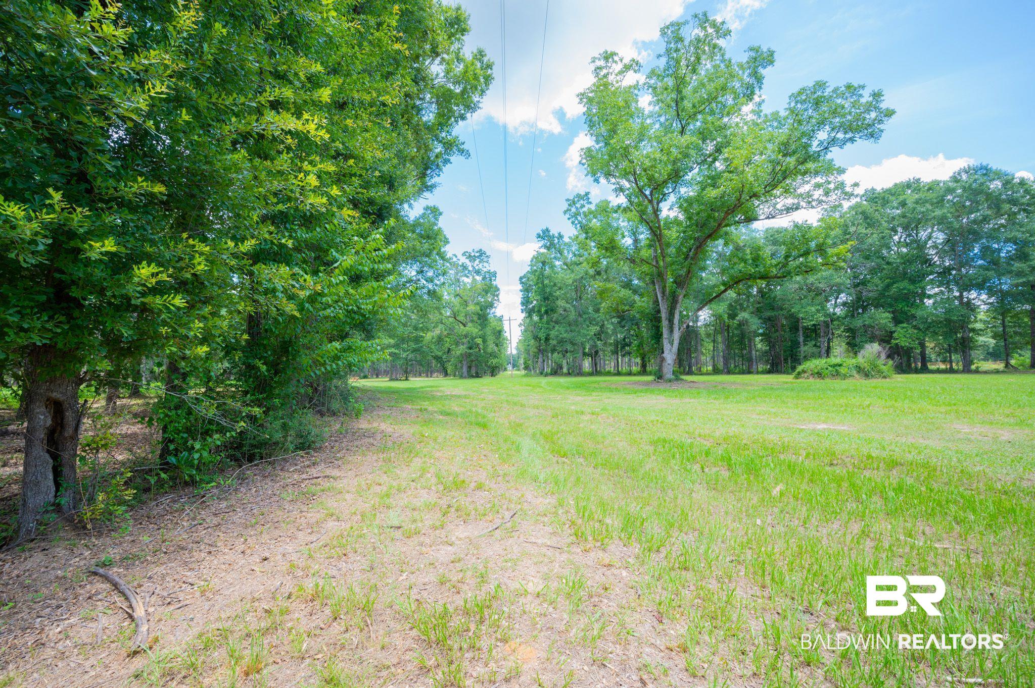 0 Hurricane Road Bay Minette, AL 36507 - Photo 4 of 30