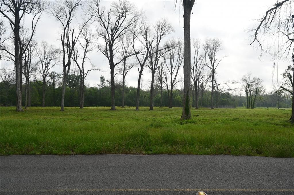 0 Palmer Chapel Road Pineville, LA 71360 - Photo 2 of 10