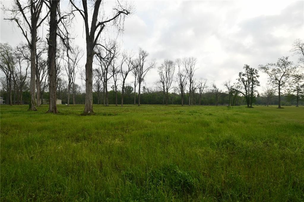 0 Palmer Chapel Road Pineville, LA 71360 - Photo 3 of 10