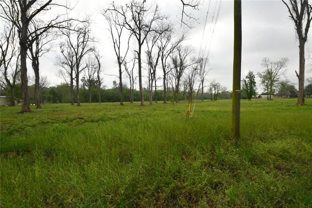 0 Palmer Chapel Road Pineville, LA 71360 - Photo 5 of 10