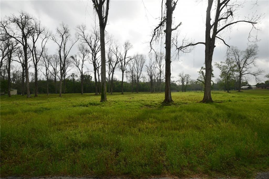 0 Palmer Chapel Road Pineville, LA 71360 - Photo 6 of 10