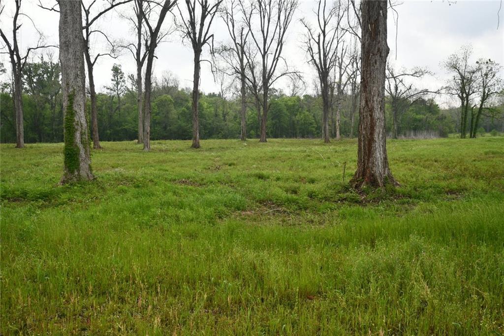 0 Palmer Chapel Road Pineville, LA 71360 - Photo 8 of 10