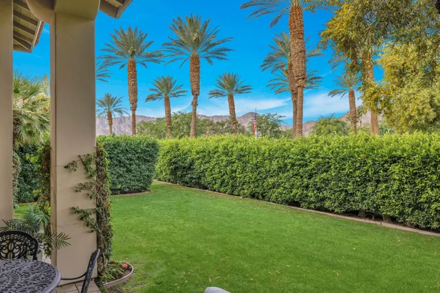 a view of a garden with a tree