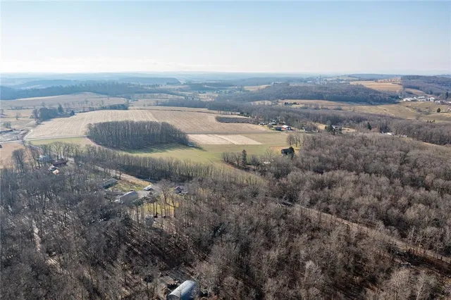 a view of a dry yard with wooden fence