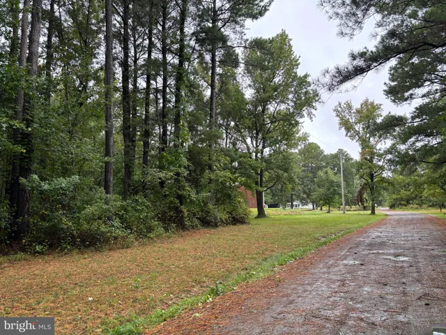 a view of a field with trees in the background