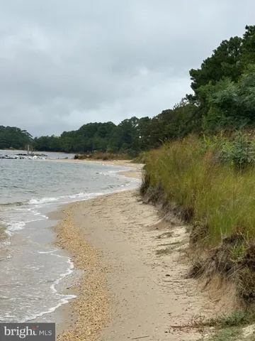 a view of a garden with plants