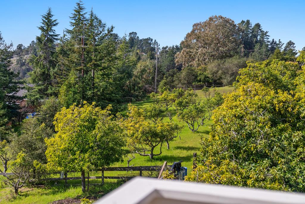 330 Enos Lane Corralitos, CA 95076 - Photo 36 of 73 a view of a yard with plants and a bench