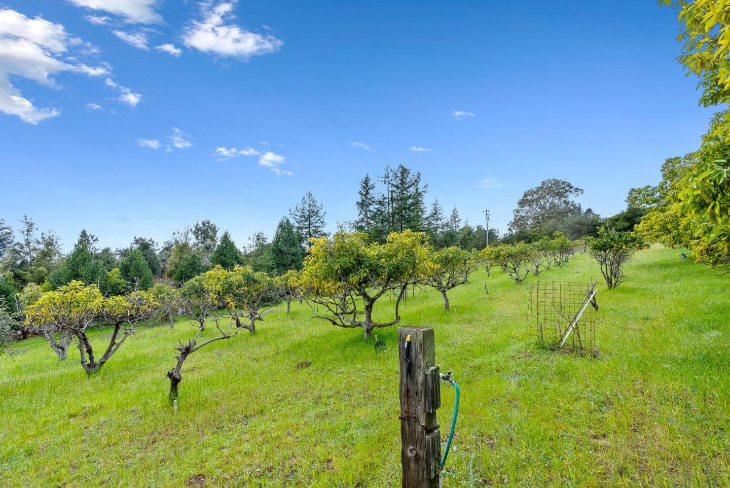 330 Enos Lane Corralitos, CA 95076 - Photo 38 of 73