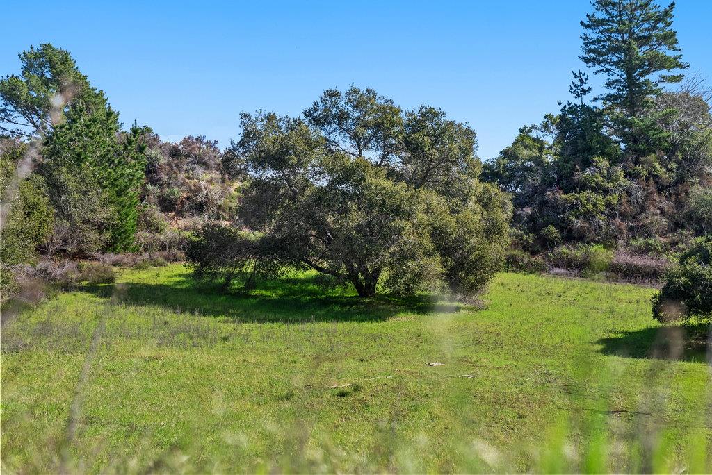 330 Enos Lane Corralitos, CA 95076 - Photo 50 of 73